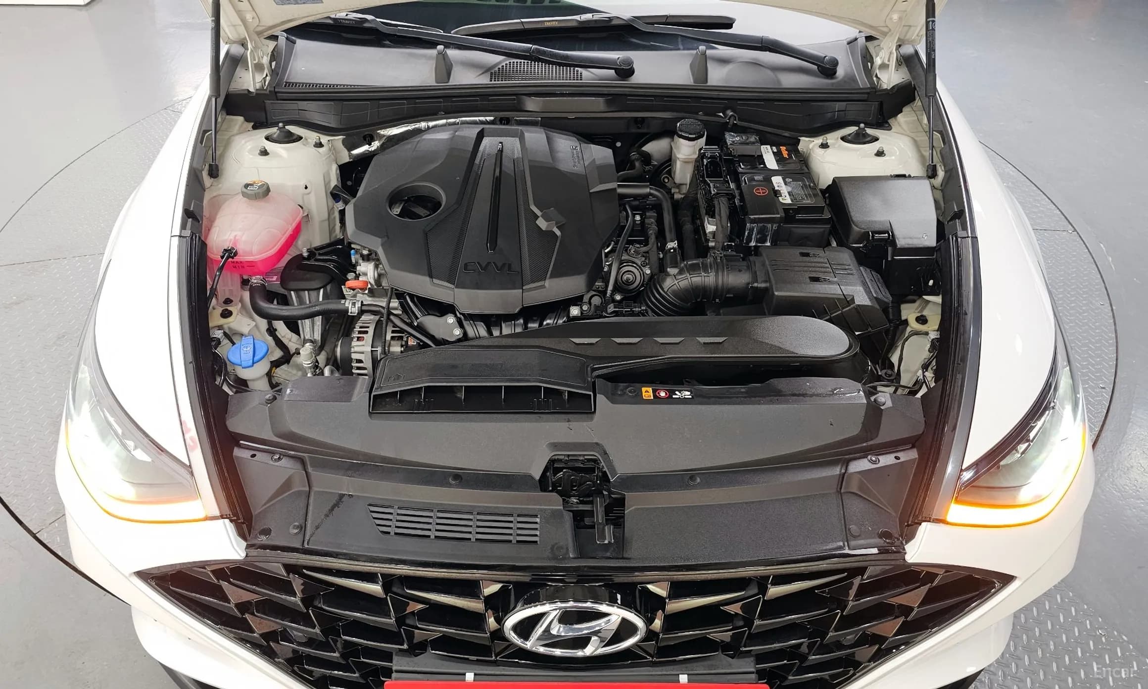 Sonata (DN8)