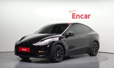 Model Y