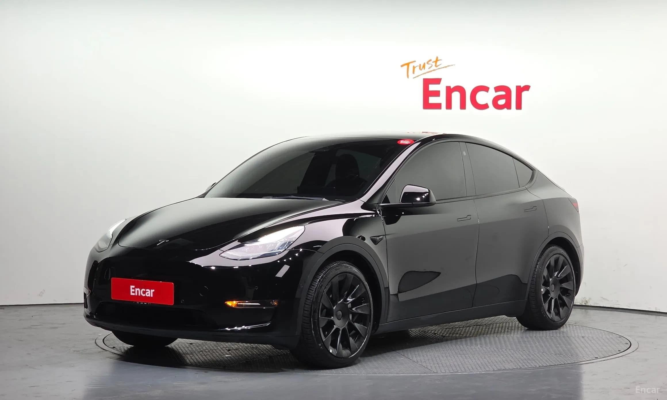 Model Y