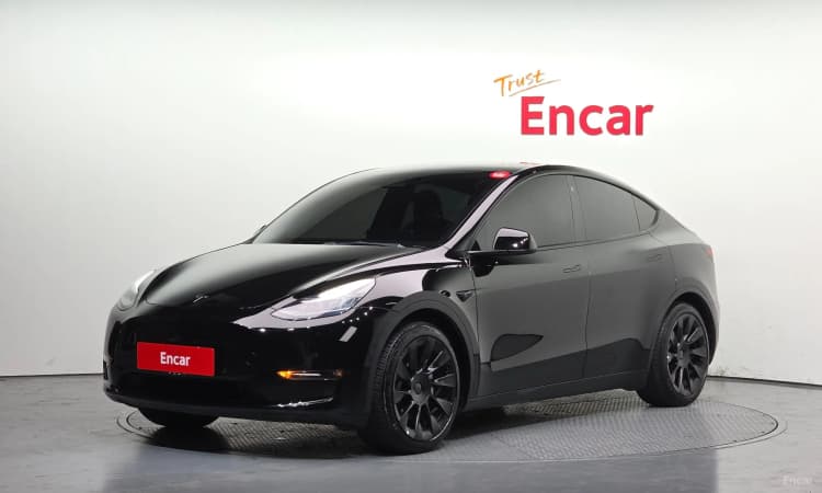 Model Y