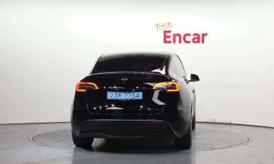 Model Y