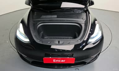 Model Y