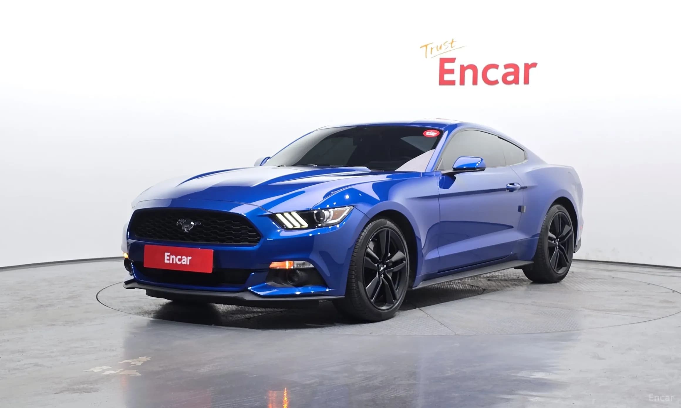 Mustang