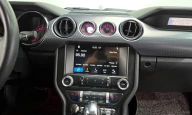Mustang
