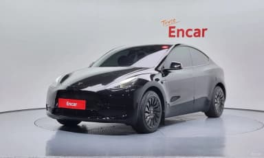 Model Y