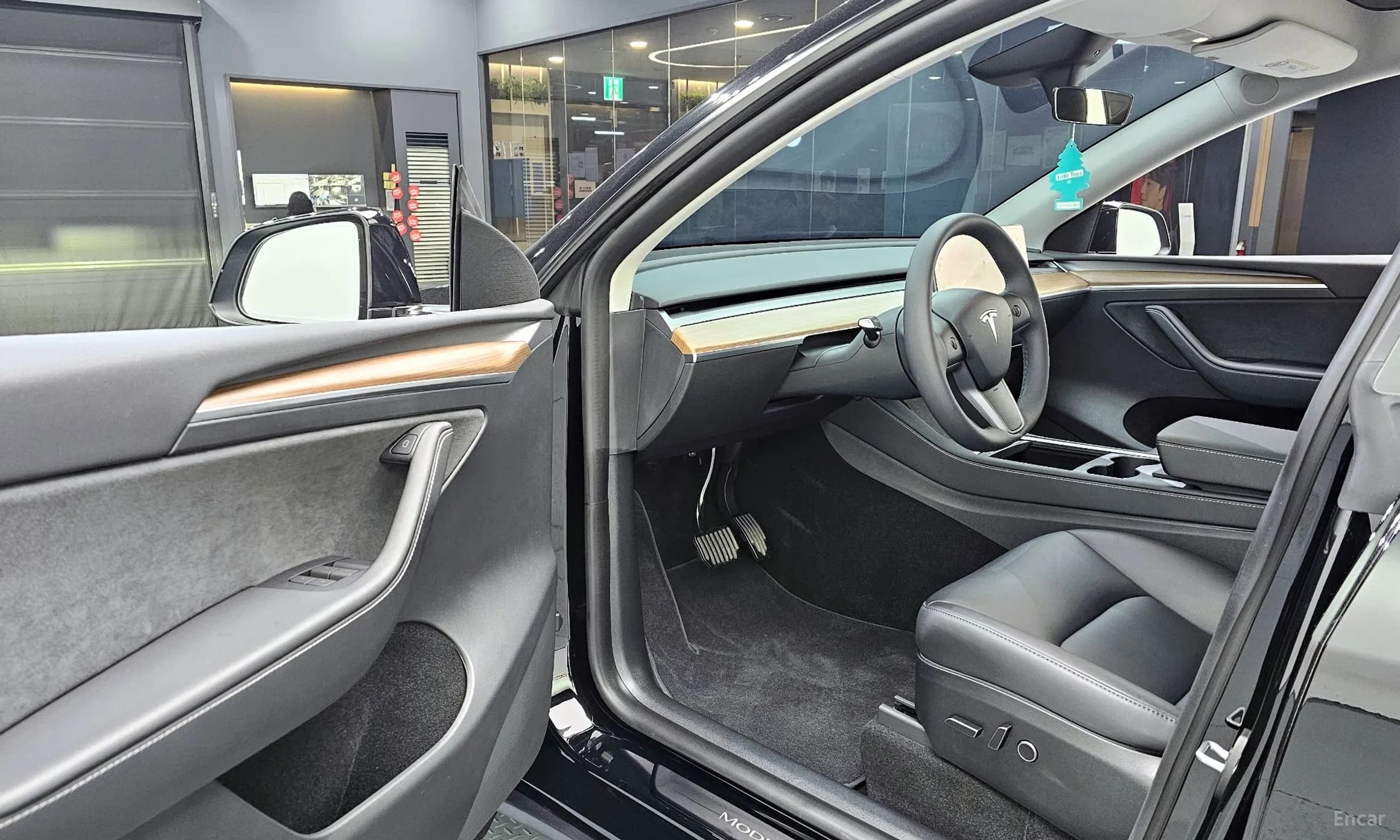Model Y