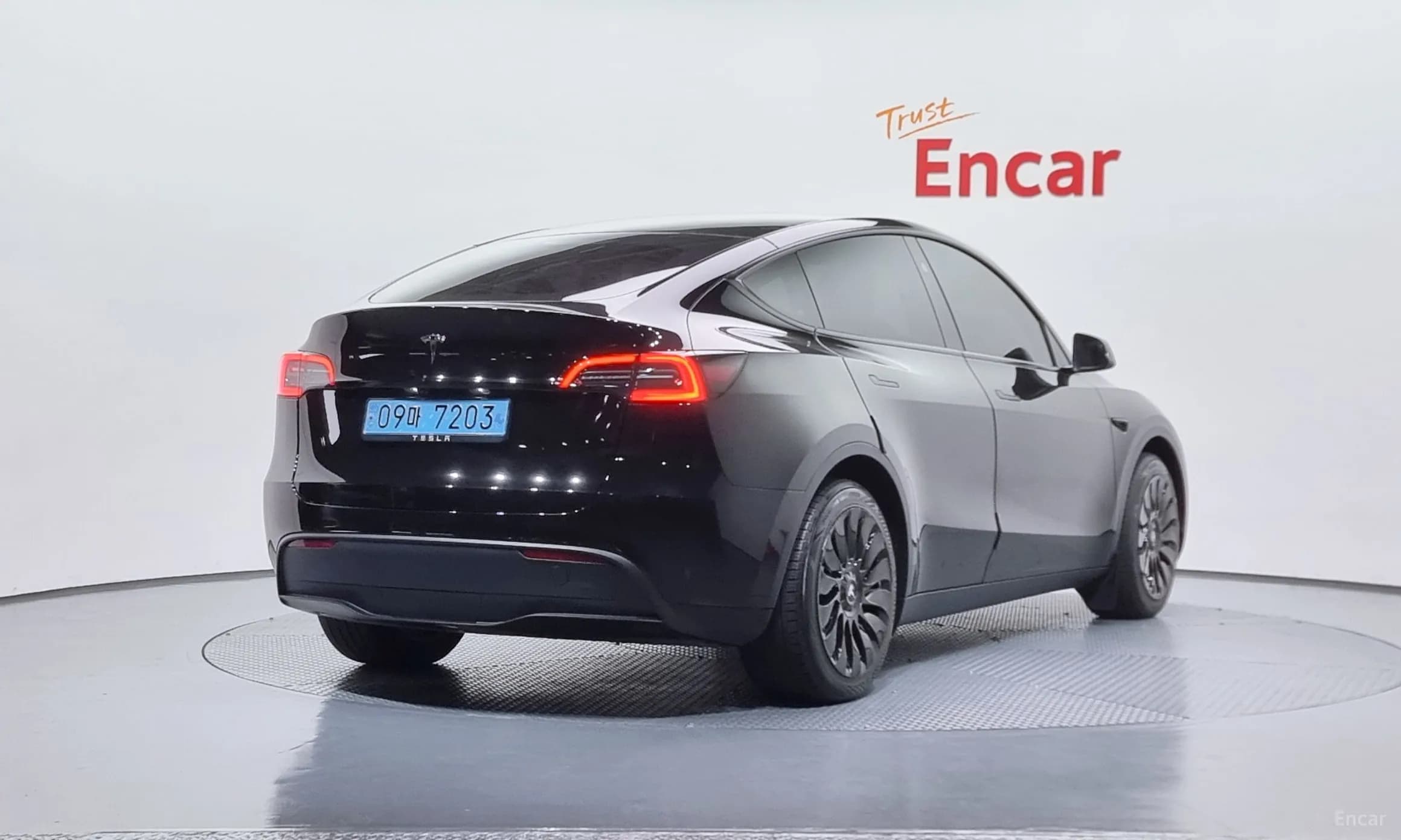 Model Y
