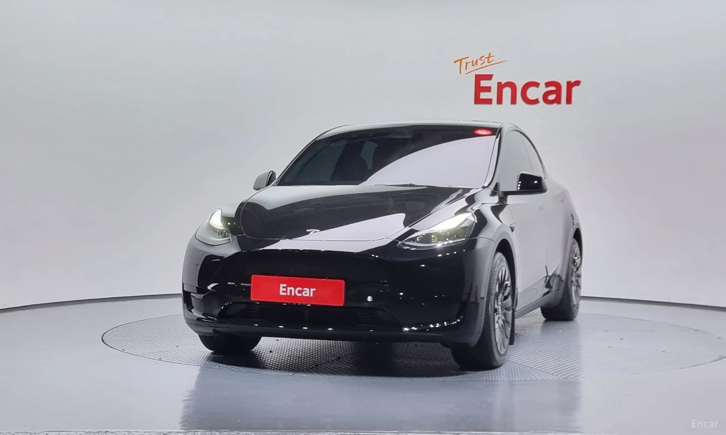 Model Y