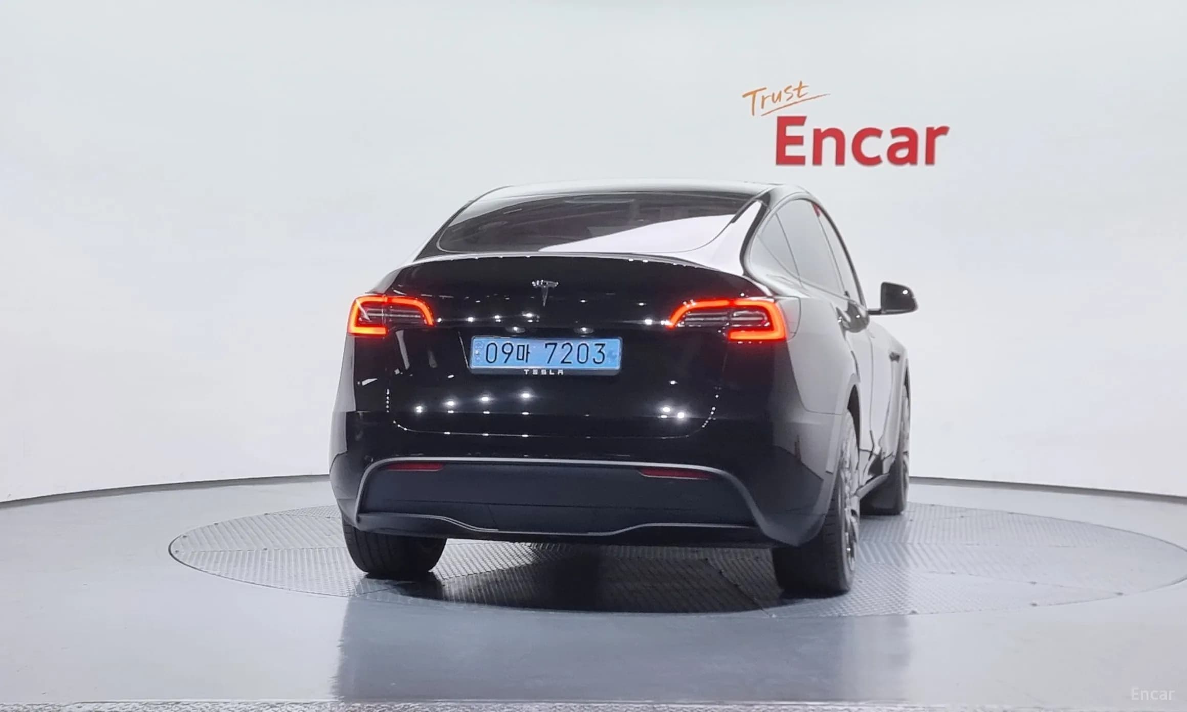 Model Y