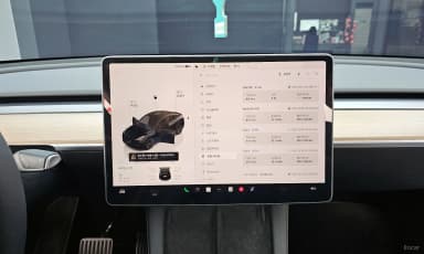 Model Y