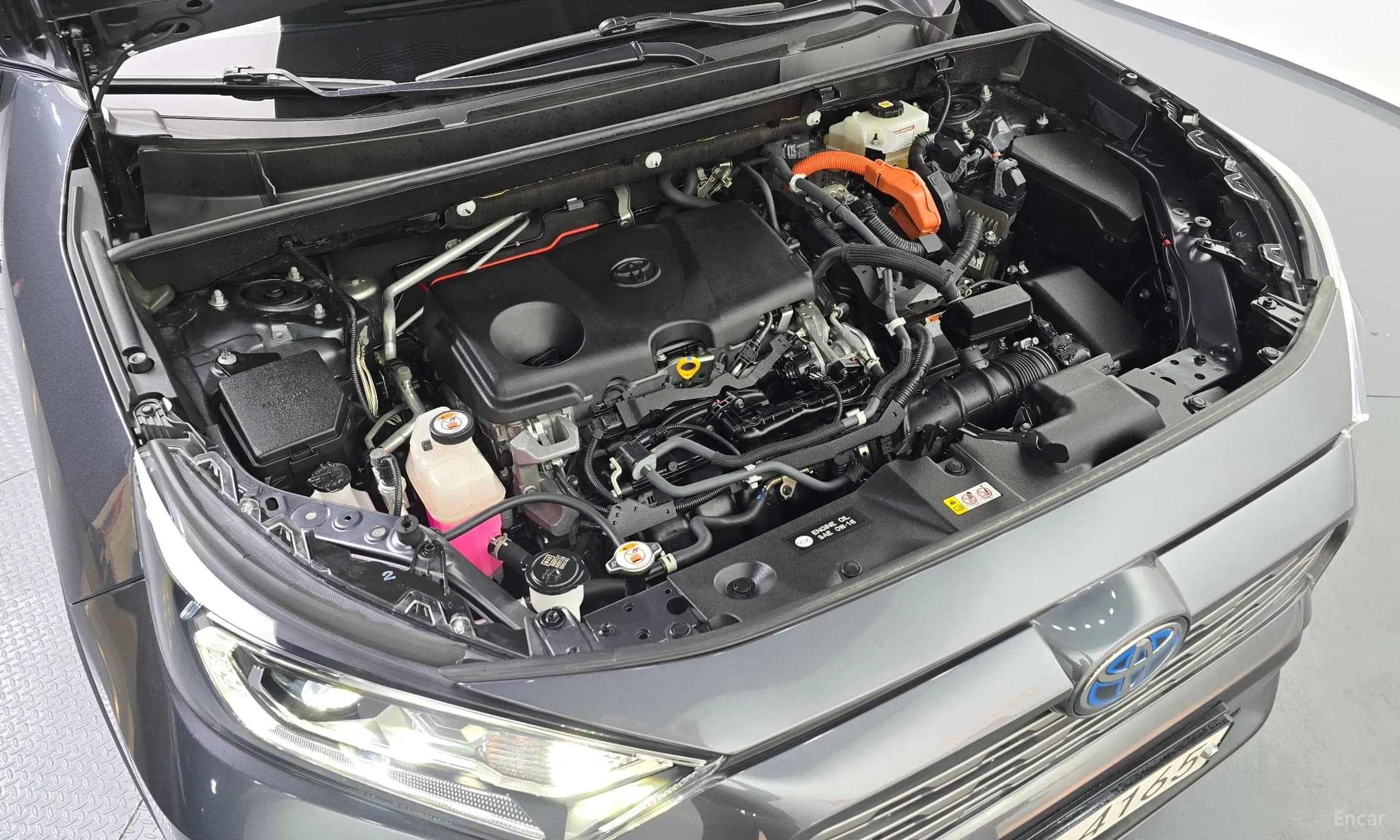RAV4 5th Generation