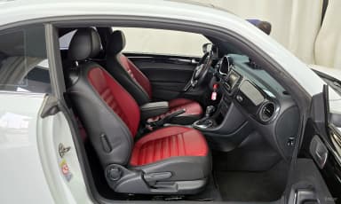 The Beetle