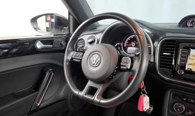 The Beetle