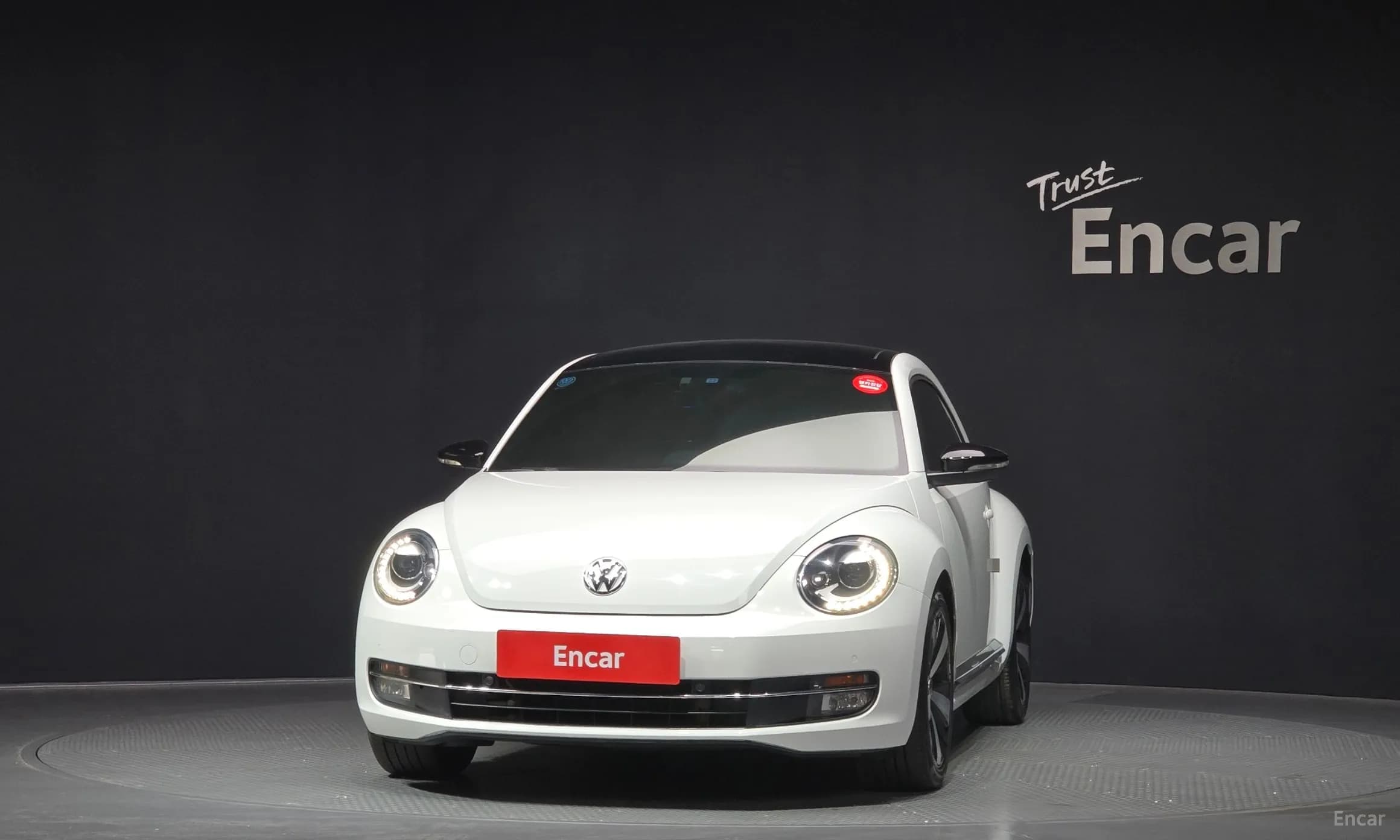 The Beetle