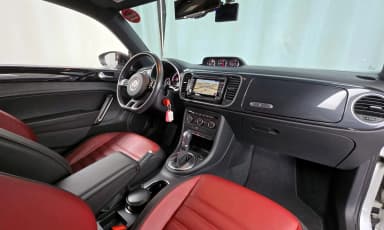 The Beetle