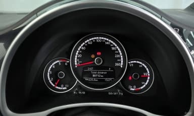 The Beetle