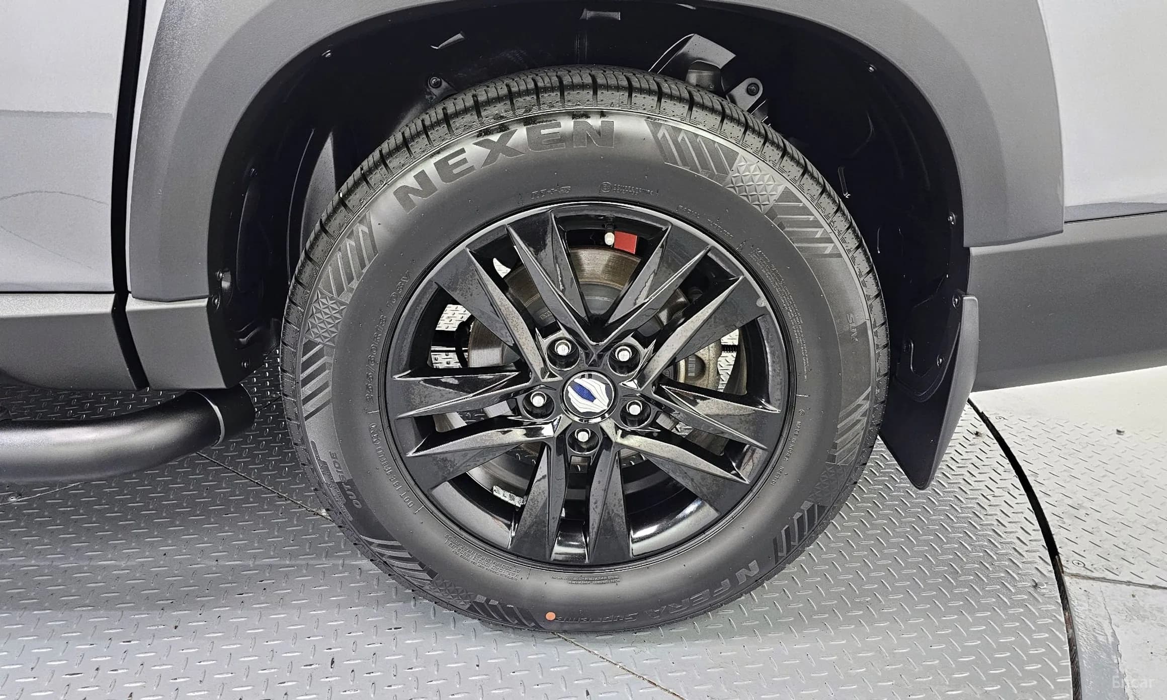 Rexton Sports