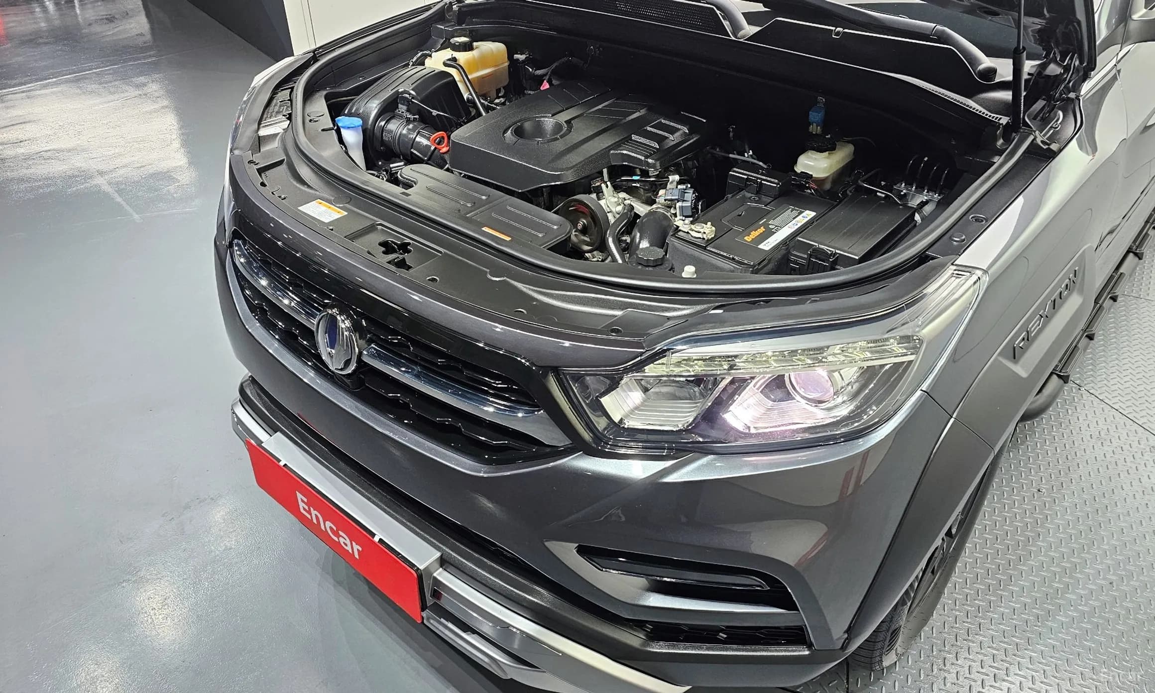 Rexton Sports
