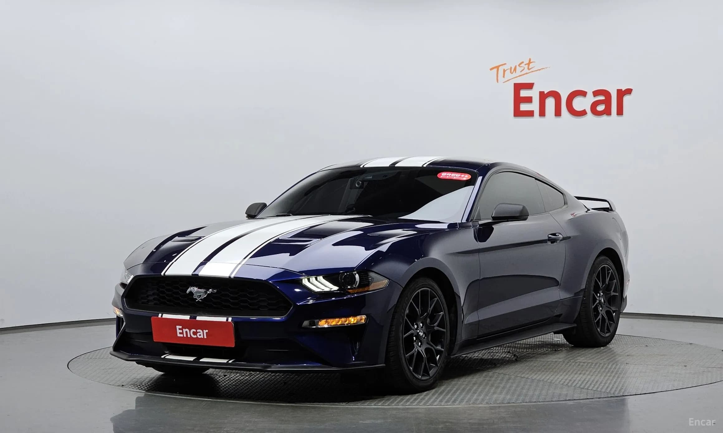 Mustang
