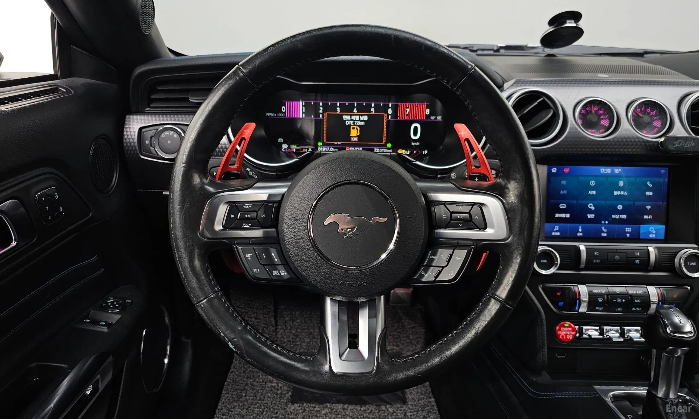 Mustang