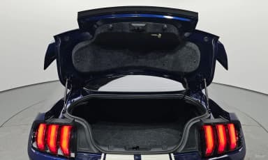 Mustang