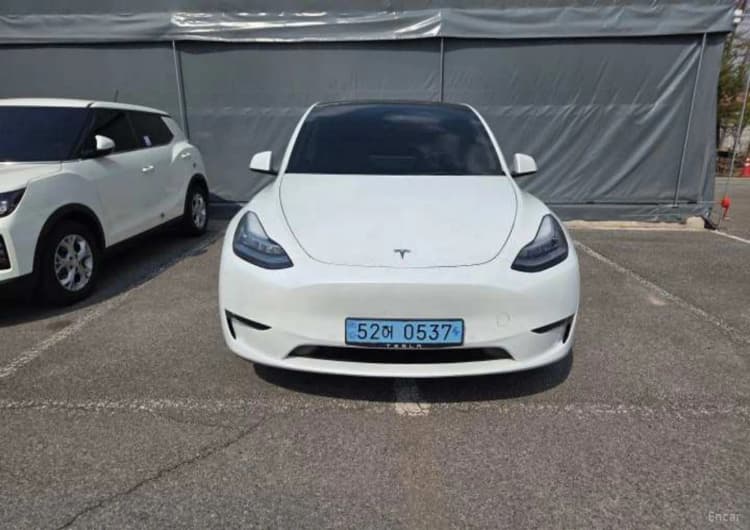 Model Y