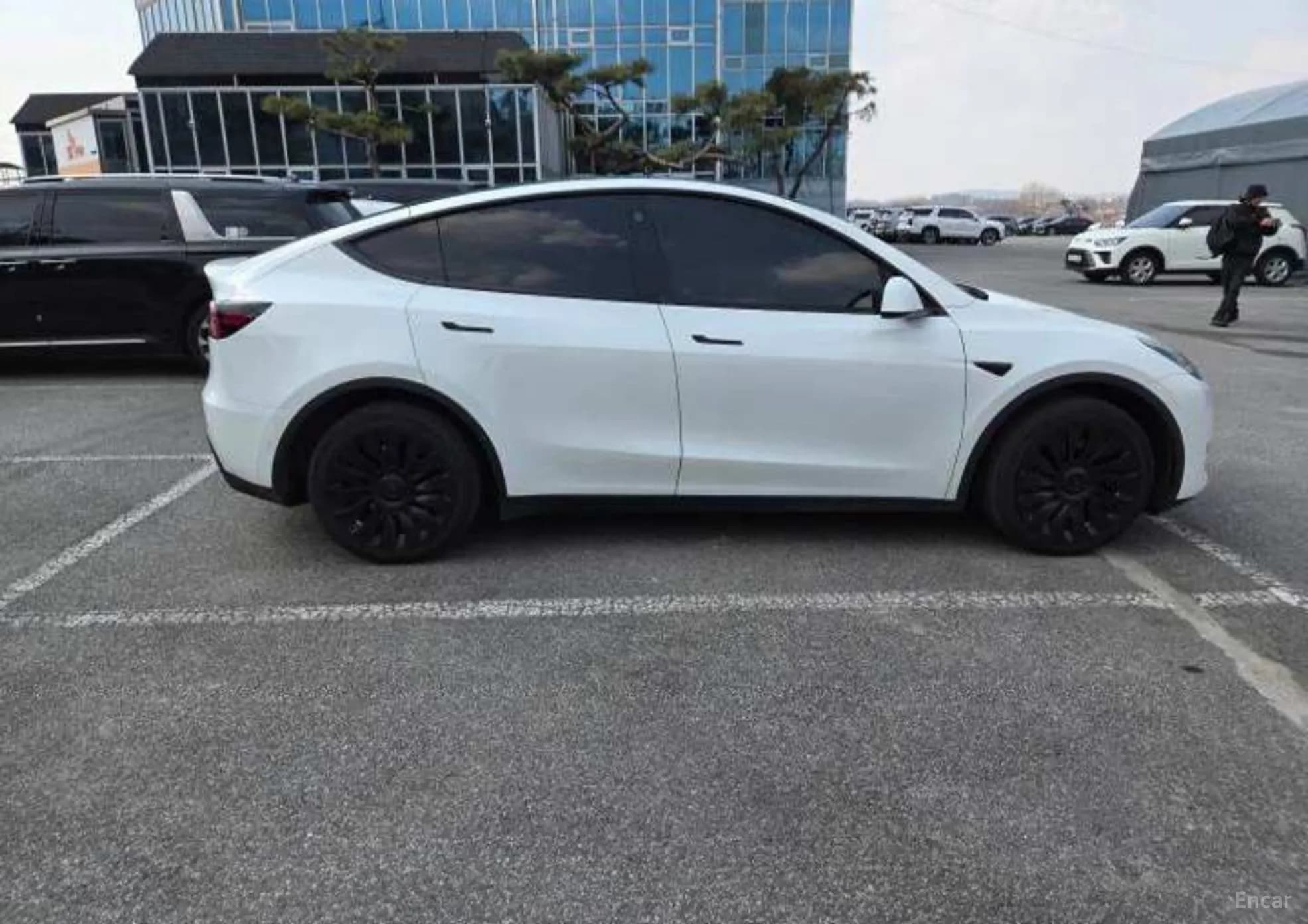 Model Y