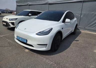 Model Y