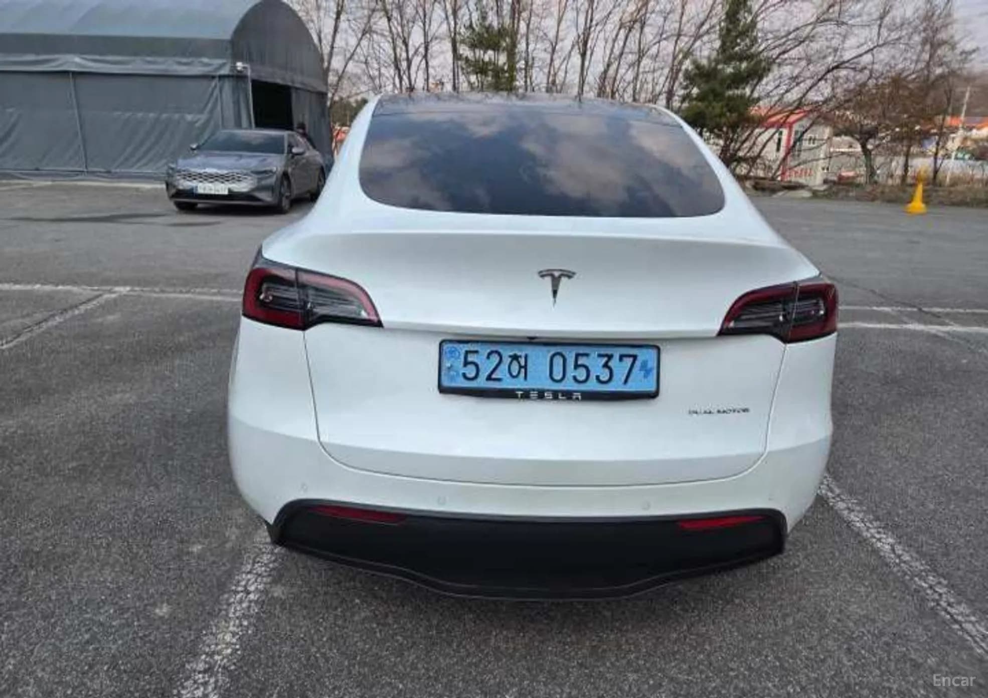 Model Y