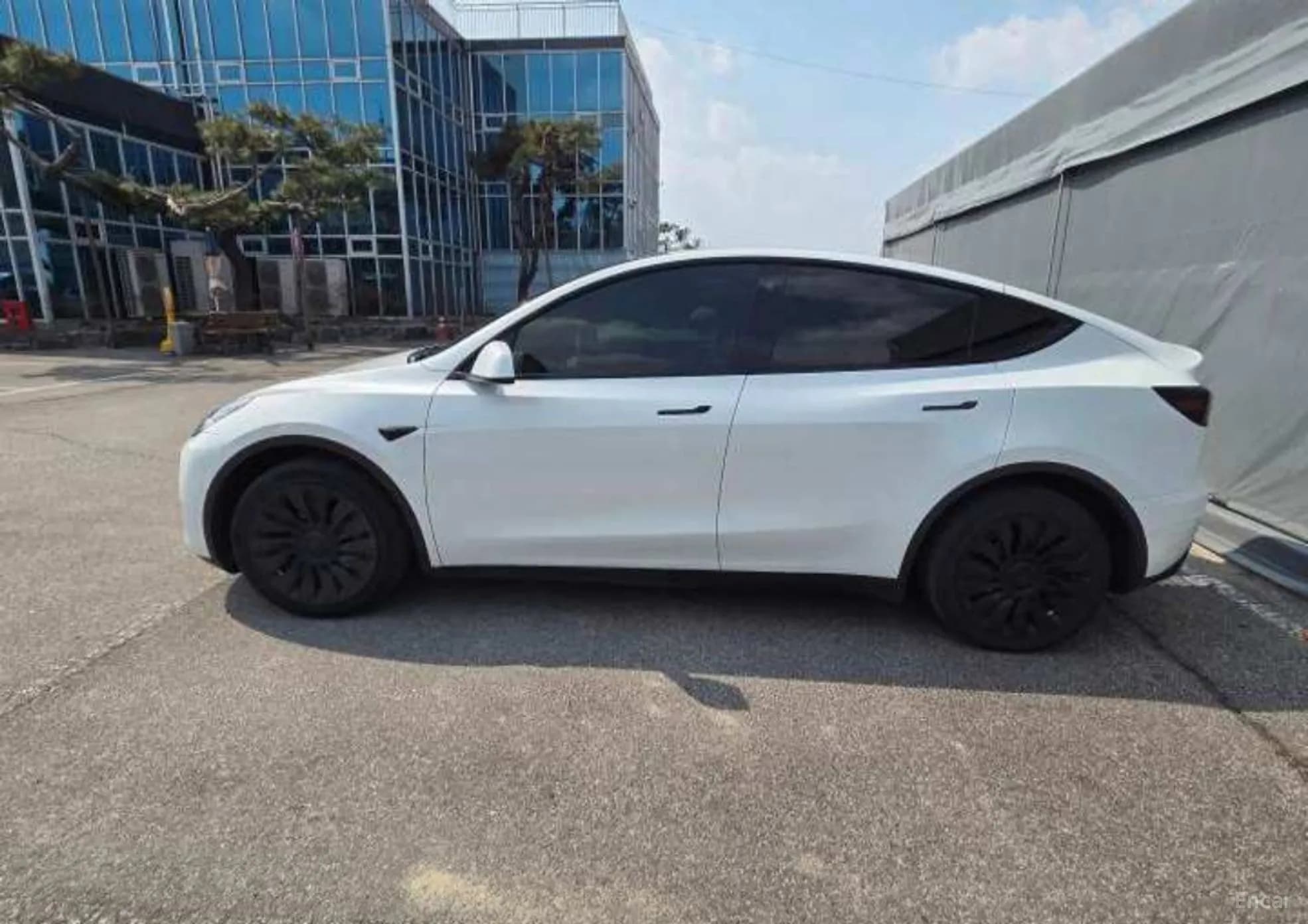 Model Y