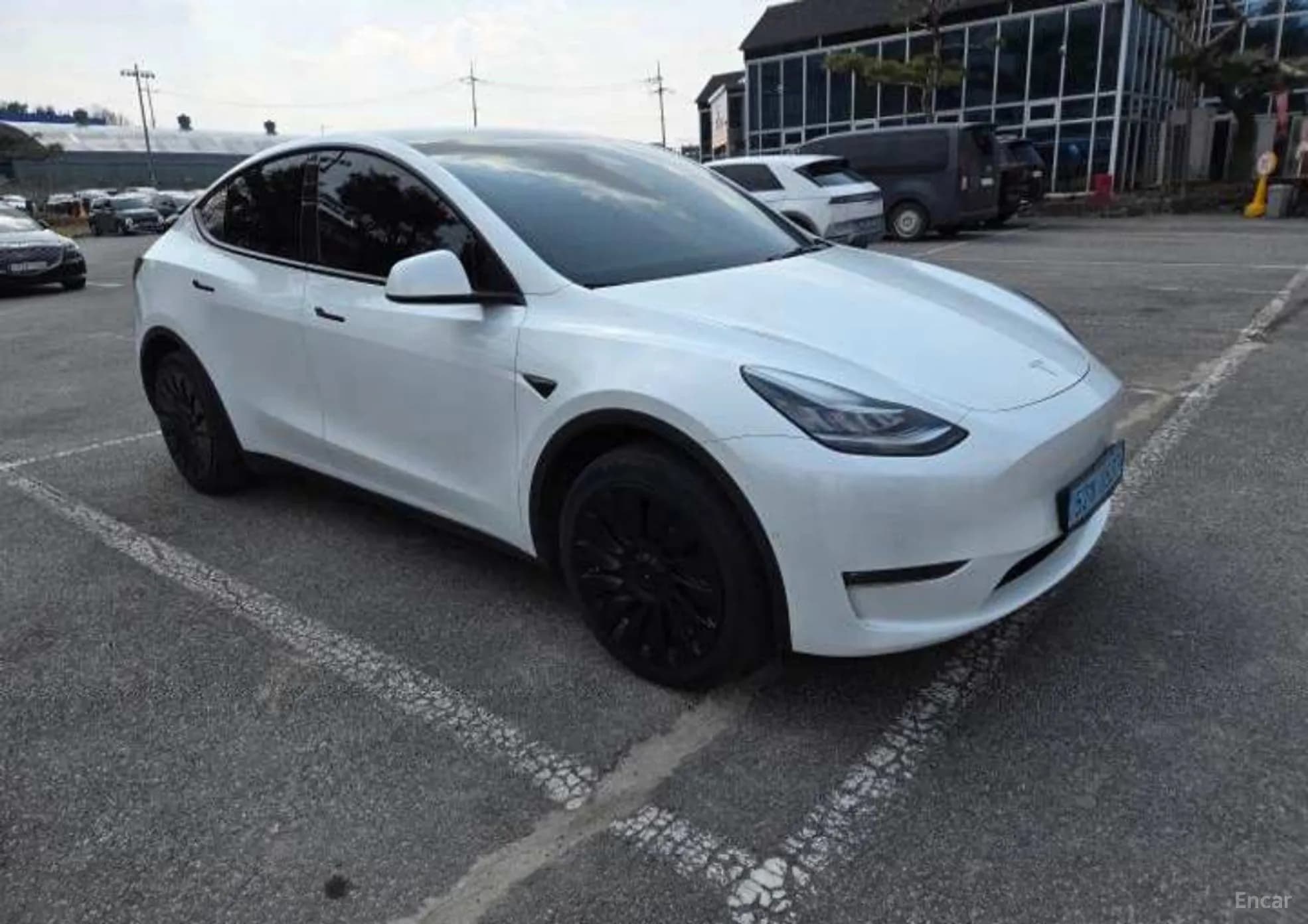 Model Y