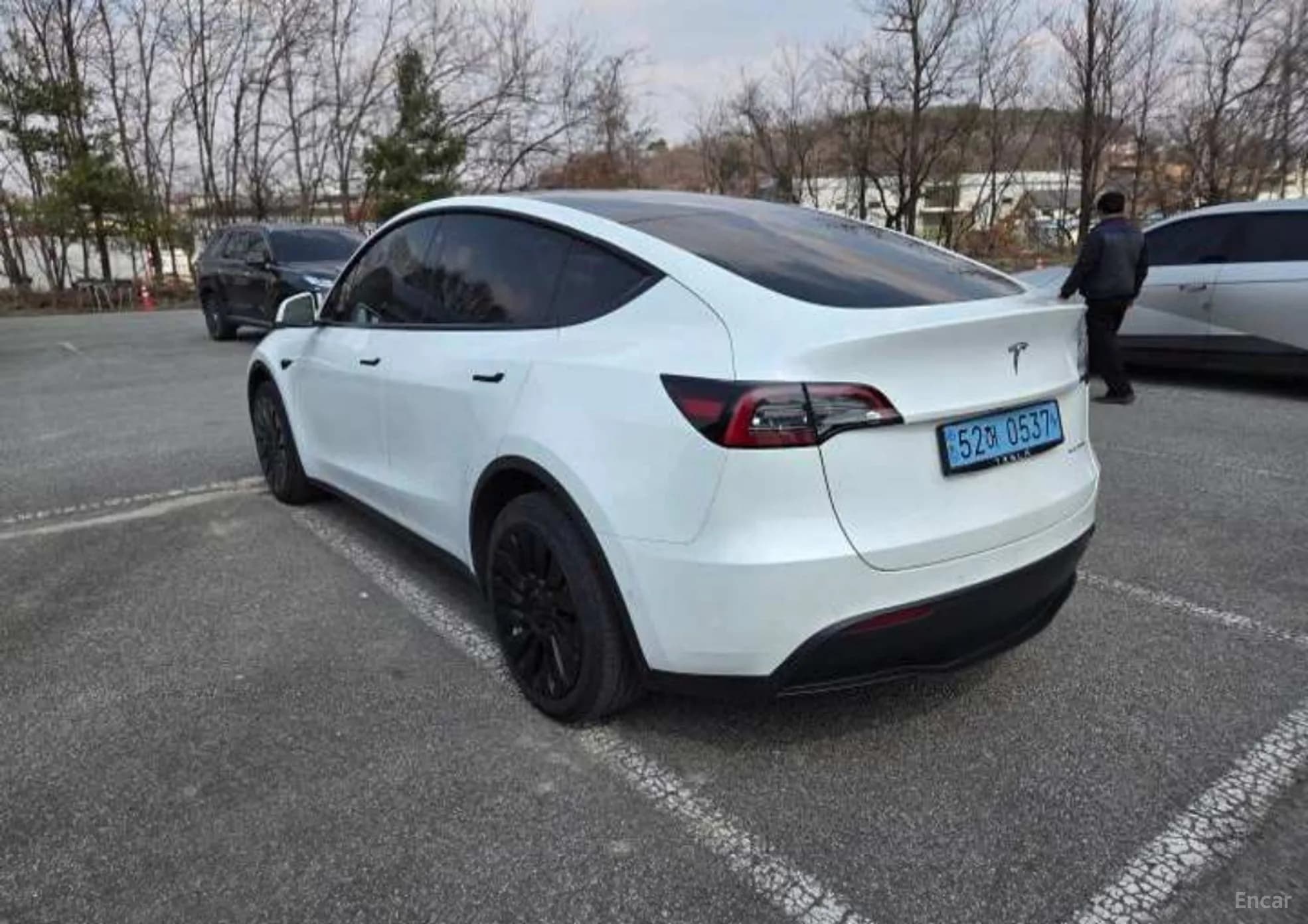 Model Y