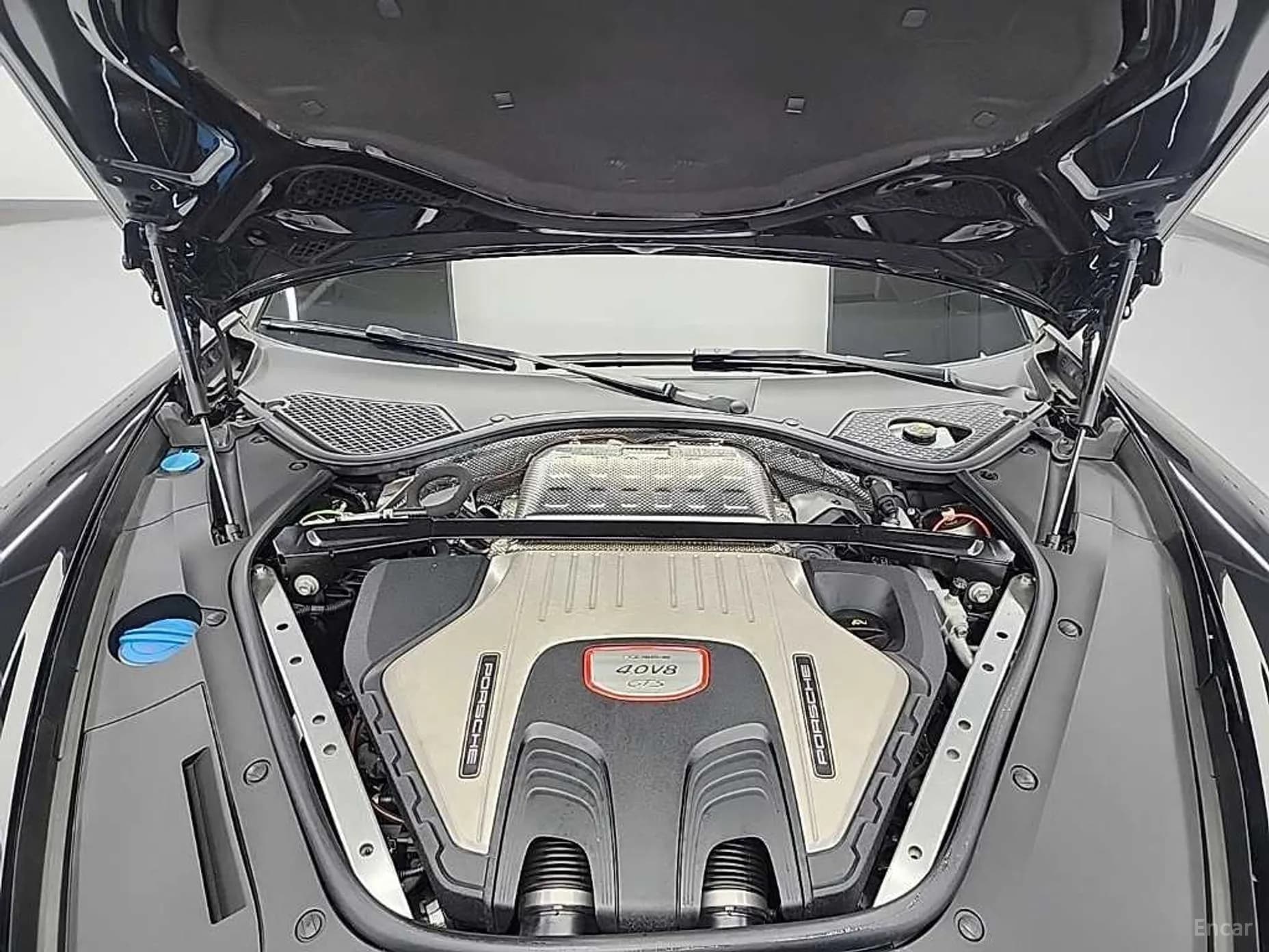 Panamera (971)