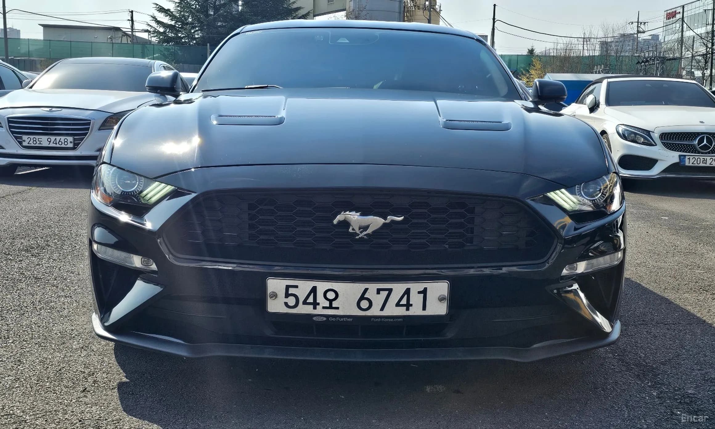 Mustang