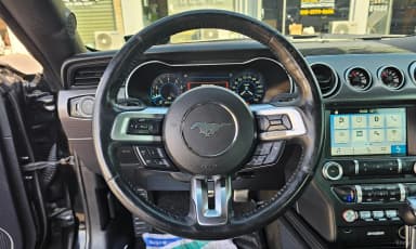 Mustang