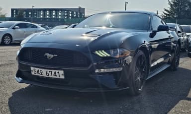 Mustang