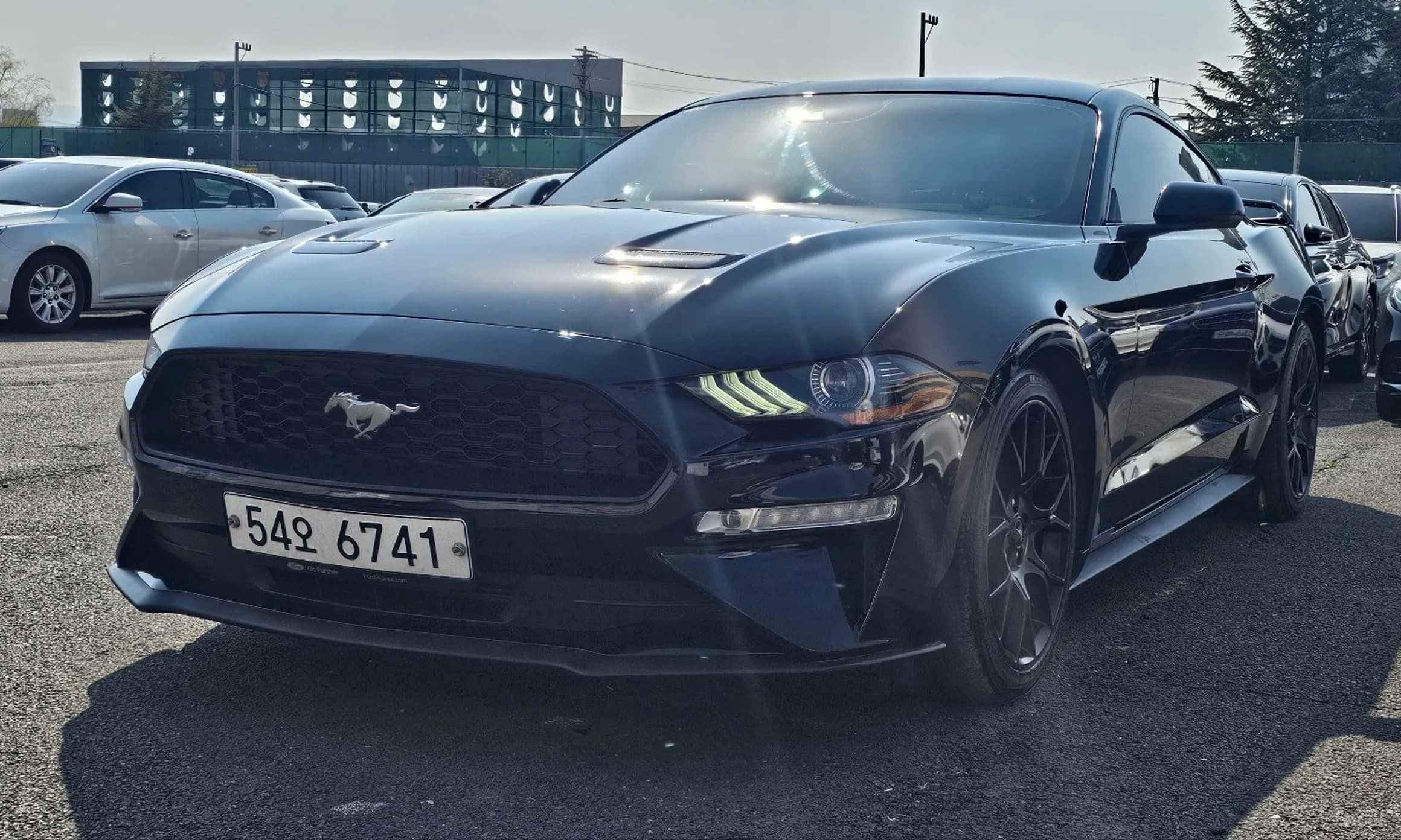 Mustang