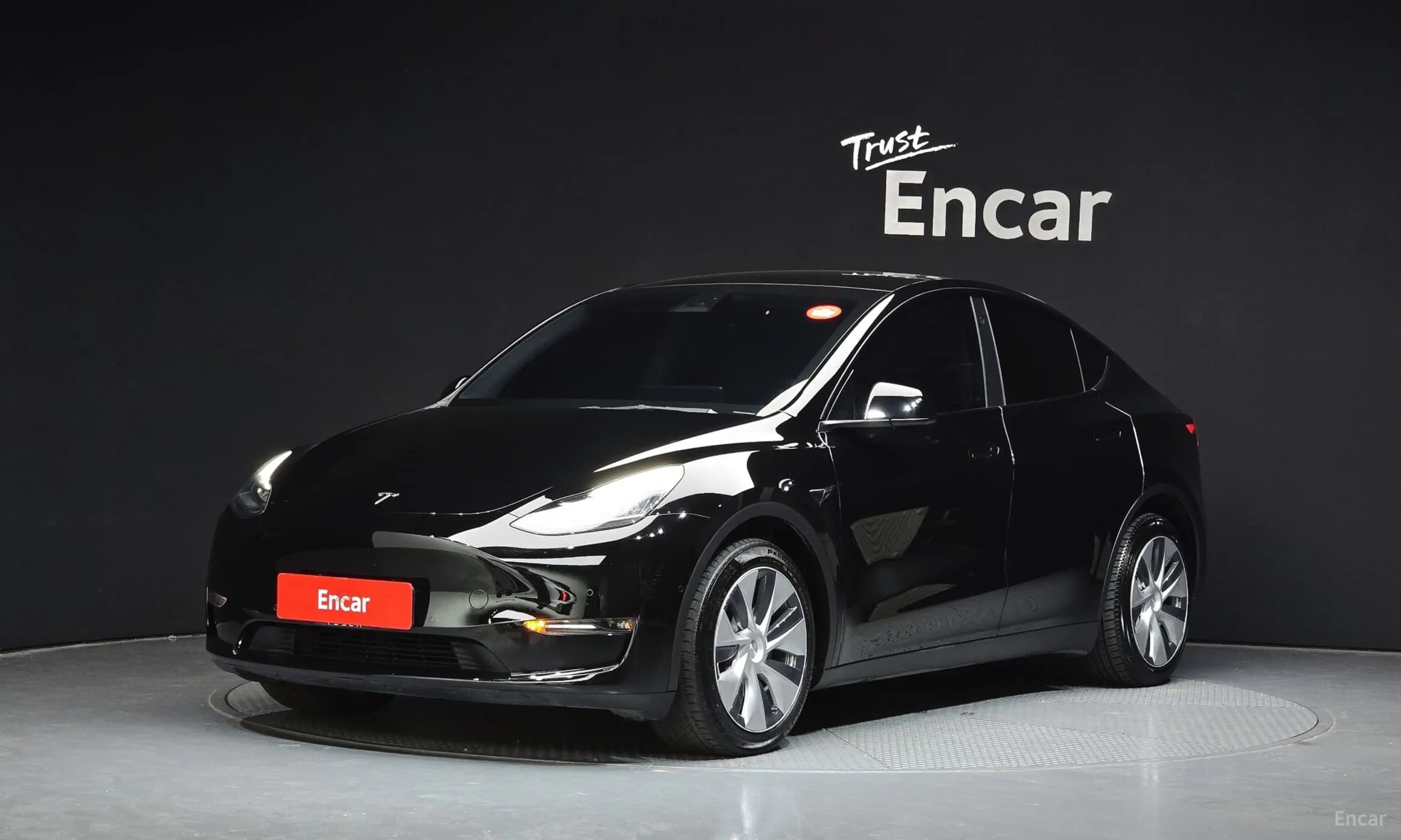 Model Y