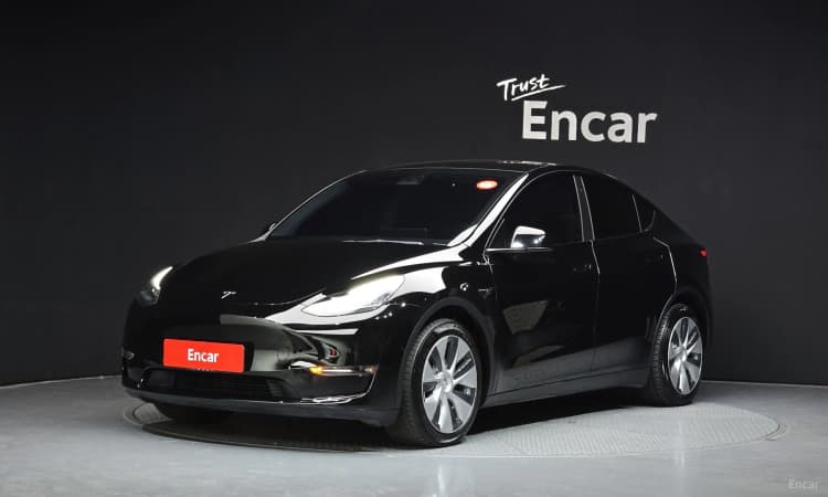 Model Y