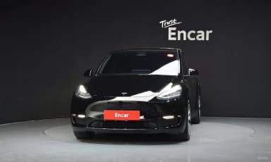 Model Y
