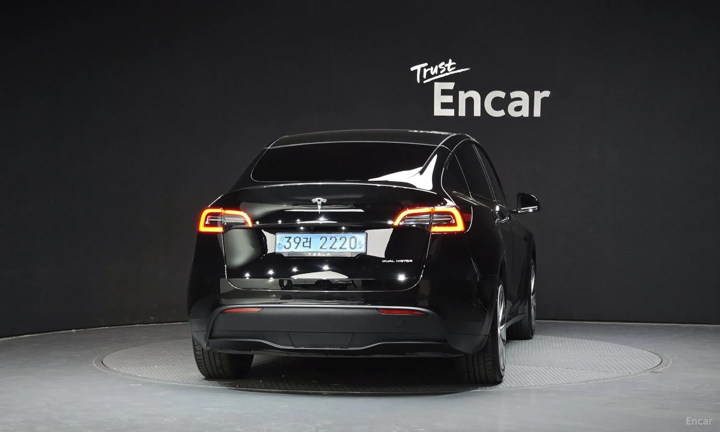 Model Y