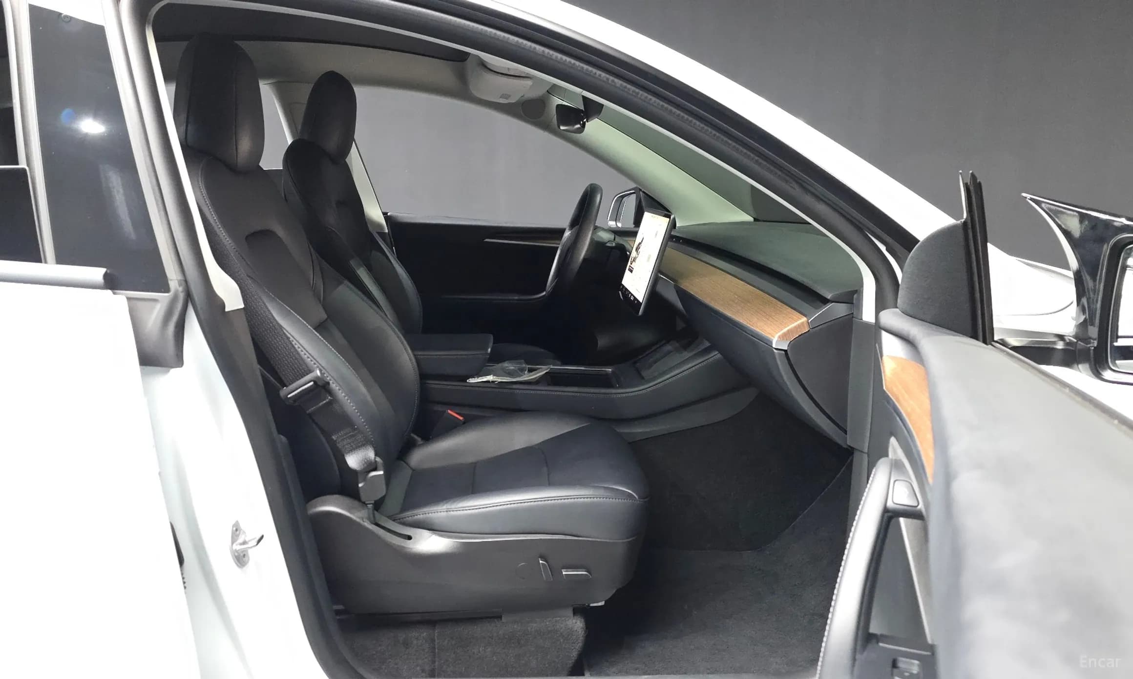 Model Y