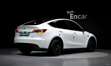 Model Y