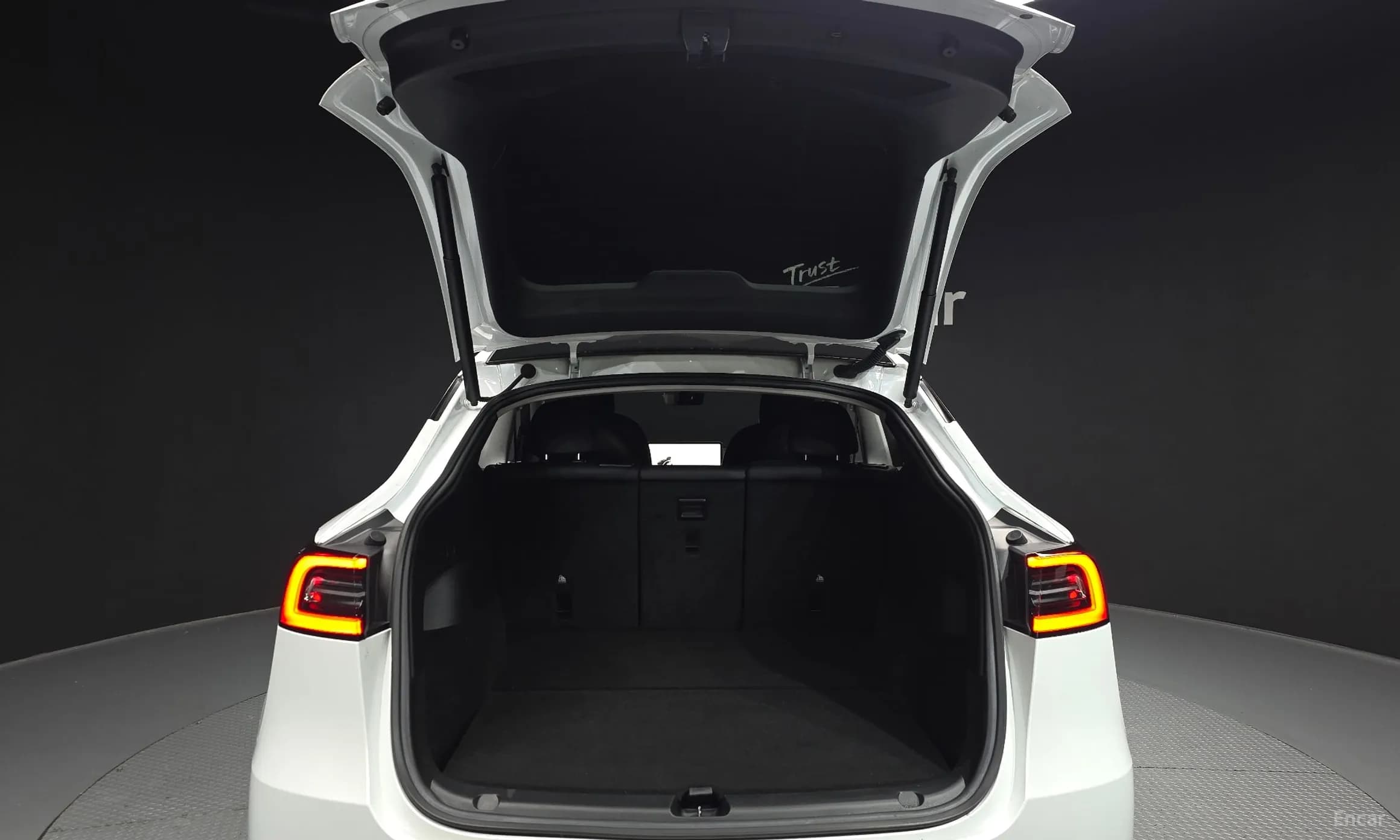 Model Y