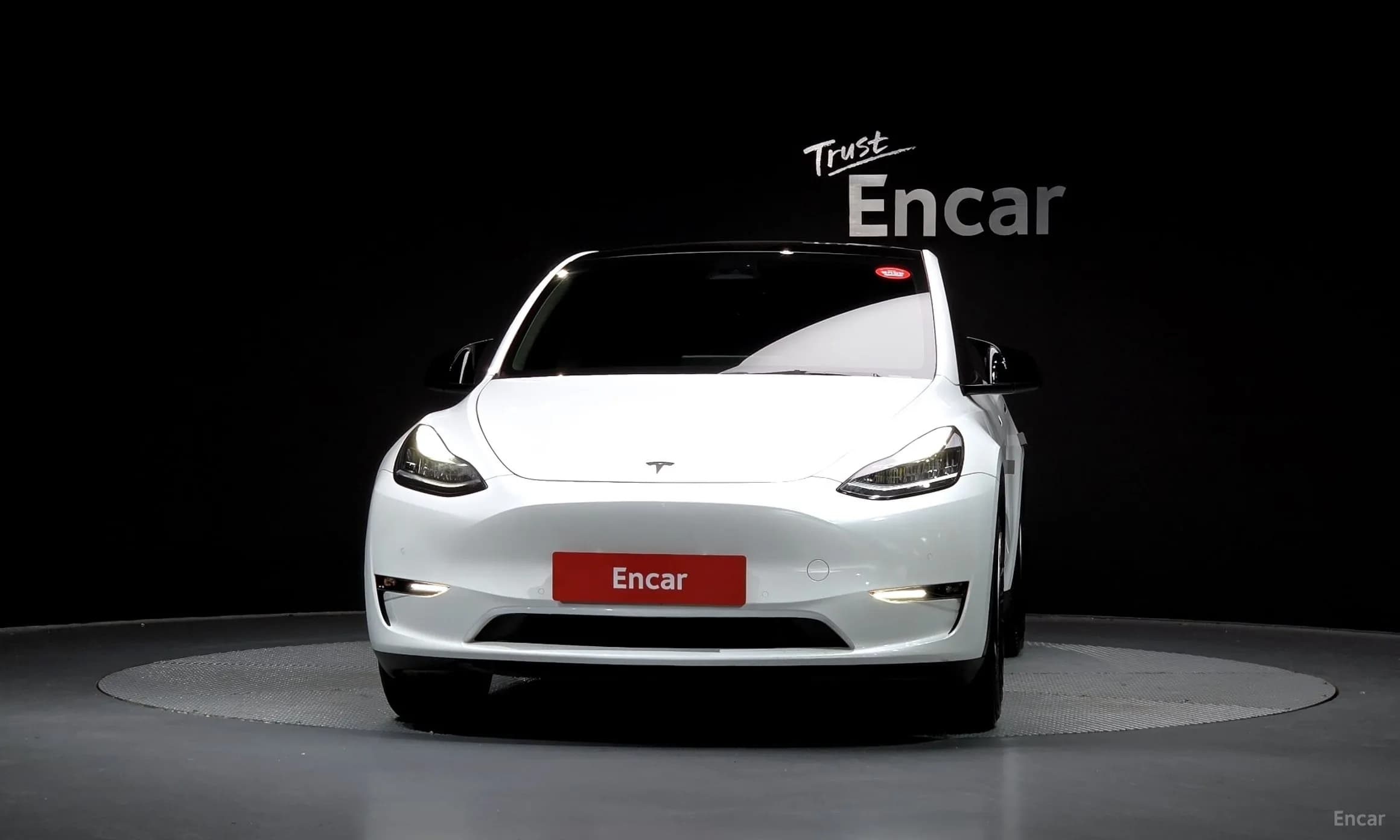 Model Y
