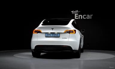 Model Y