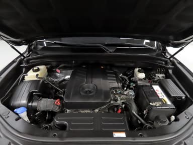 Rexton Sports