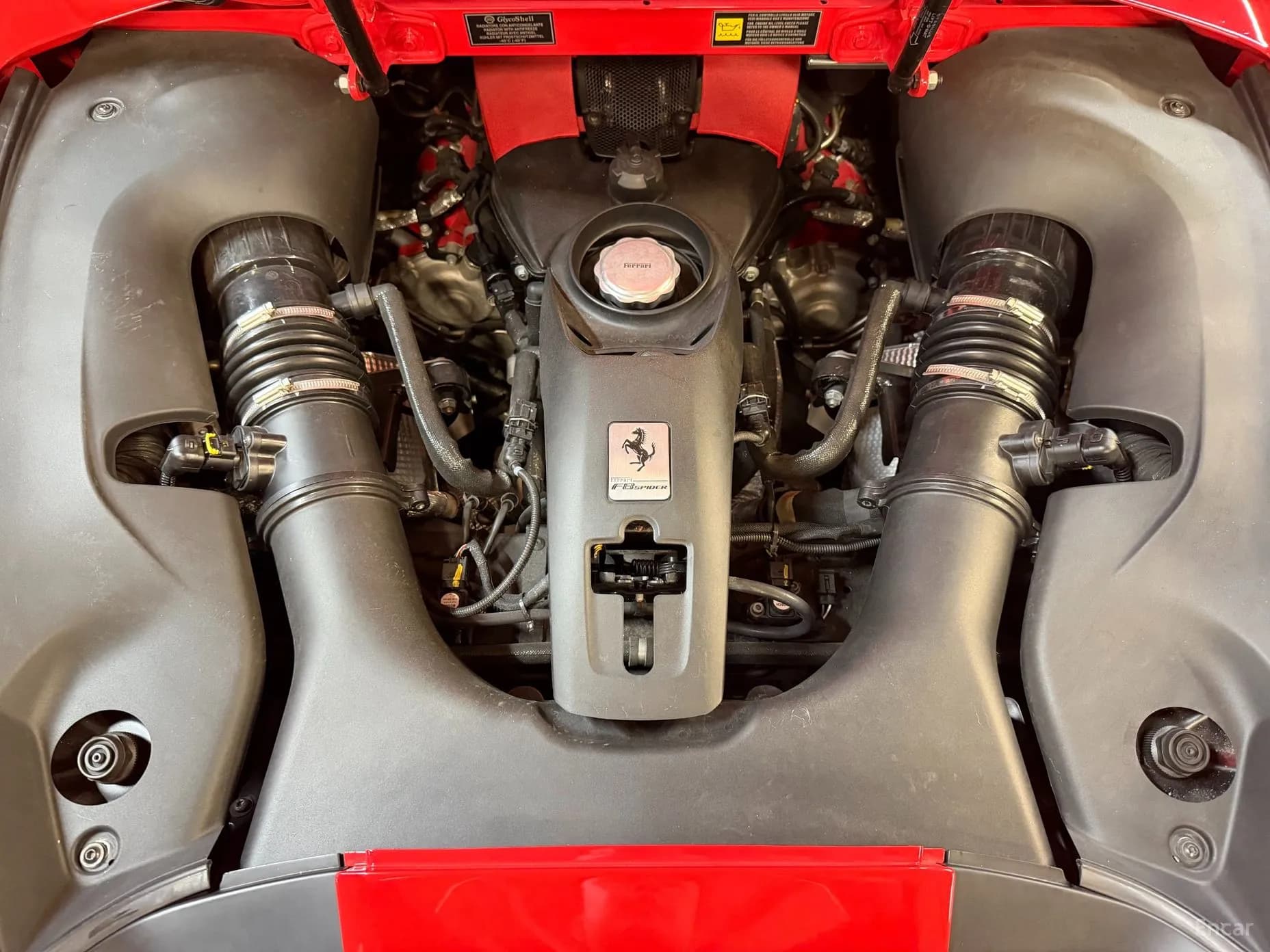 F8 Spider