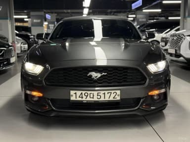 Mustang