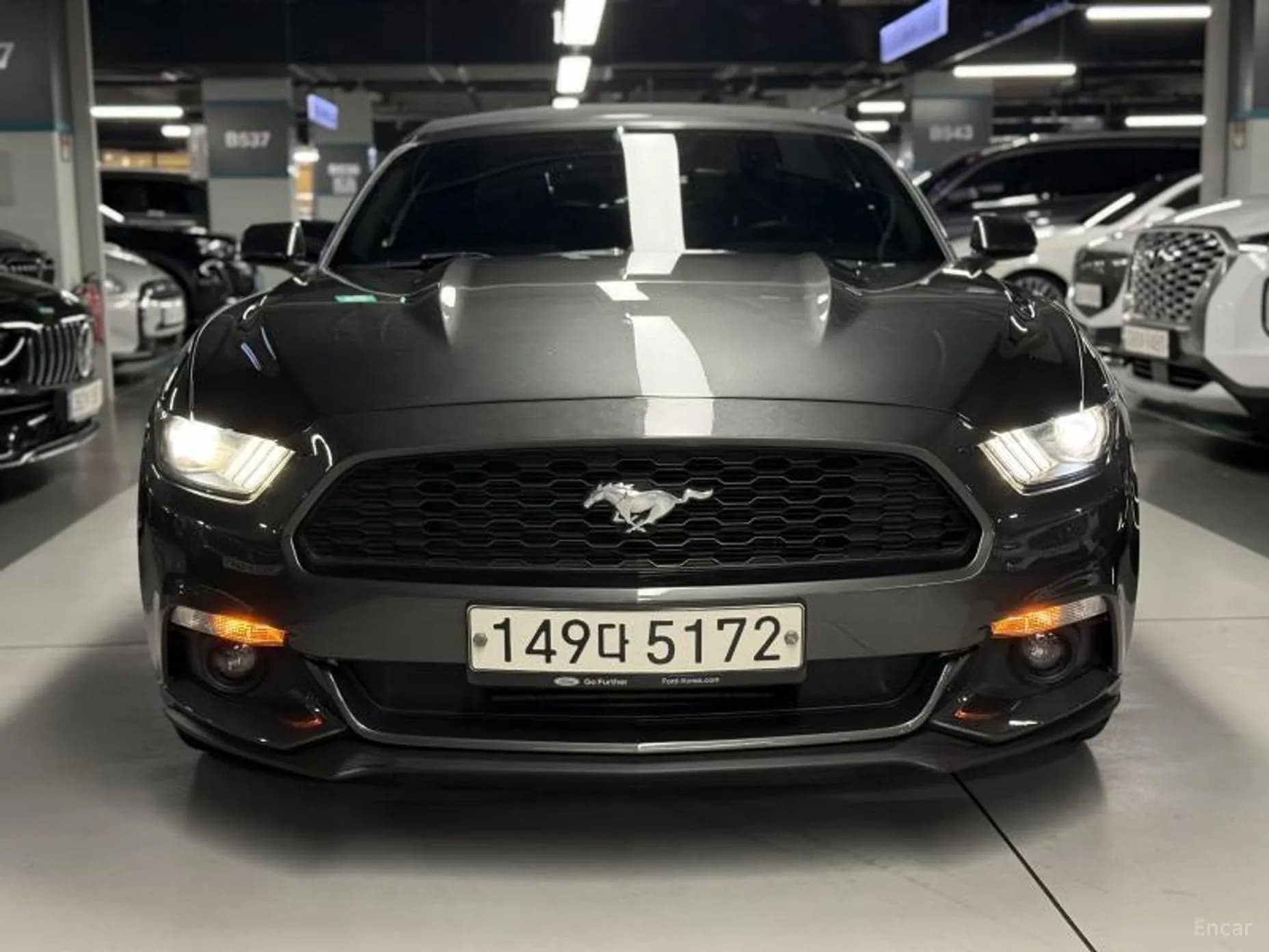 Mustang